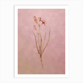 Vintage Amaryllis Montana Botanical Art on Crystal Rose n.0408 Art Print