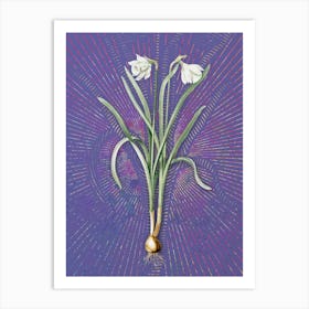Vintage Narcissus Candidissimus Botanical Illustration on Veri Peri n.0081 Art Print