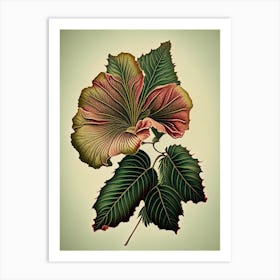 Hibiscus Leaf Vintage Botanical 1 Art Print