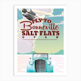 Fly To Bonville Salt Flats Art Print