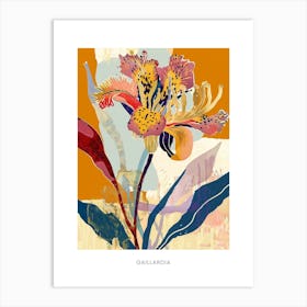 Colourful Flower Illustration Poster Gaillardia 3 Art Print