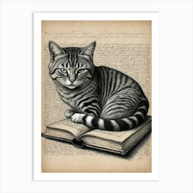 Cat On Book Art Print