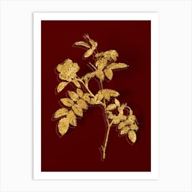 Vintage Pink Alpine Rose Botanical in Gold on Red n.0614 Art Print