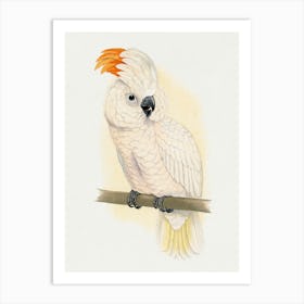 Cockatoo Art Print