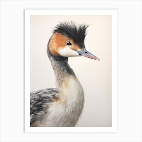 Vintage Bird Drawing Grebe 2 Art Print