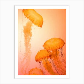 Orange Jellyfish, Oil Painting Art Print