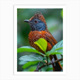 Rufous-Cheeked Warbler Art Print