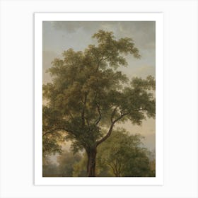 Tree In A Park Art Print