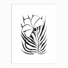 Zebra Flower Art Print