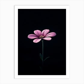 Pink Flower On Black Background 1 Art Print