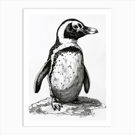 African Penguin Hatching 1 Art Print