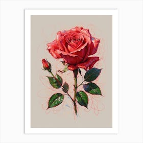 Red Rose Art Print