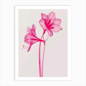 Hot Pink Amaryllis 3 Art Print