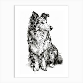 Shetland Sheepdog Dog Line Sketch 1 Art Print