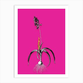 Vintage Common Bluebell Black and White Gold Leaf Floral Art on Hot Pink Art Print