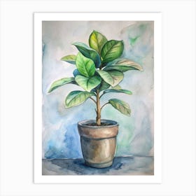 Ficus Art Print