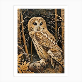 Oriental Bay Owl Relief Illustration 2 Art Print