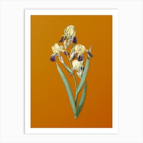 Vintage Elder Scented Iris Botanical on Sunset Orange n.0434 Art Print