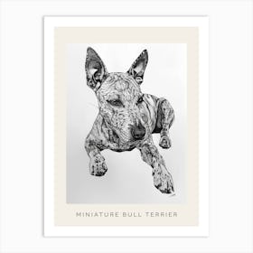Miniature Bull Terrier Line Sketch 3 Poster Art Print