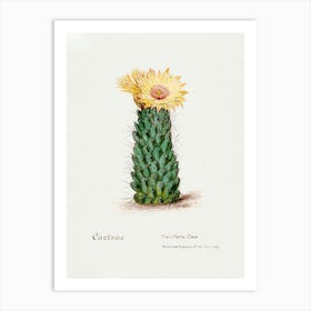 Beehive Cactus, Familie Der Cacteen Art Print