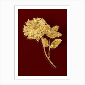 Vintage Tree Peony Botanical in Gold on Red n.0464 Art Print