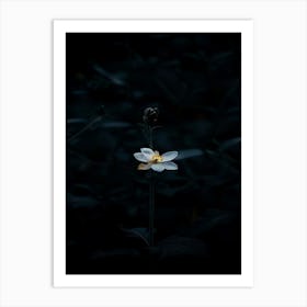 Dark Flower 37 Art Print