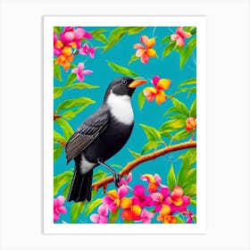 Blackbird Tropical bird Art Print