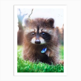 Racoon And Blue Butterfly In Green Grass Art Print