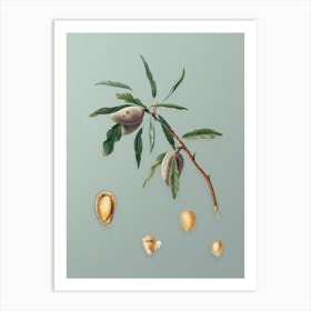 Vintage Almond Botanical Art on Mint Green n.0570 Art Print