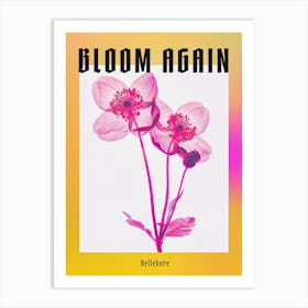 Hot Pink Hellebore 2 Poster Art Print