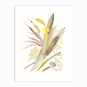 Corn Silk Spices And Herbs Pencil Illustration 3 Art Print