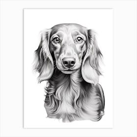 Dachshund Dog, Line Drawing 3 Art Print
