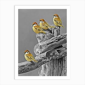 Four Sparrows Art Print