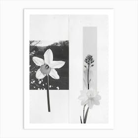 Daffodil Flower Photo Collage 6 Art Print