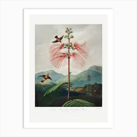 Vintage Botanical Temple Of Flora _2476826 Art Print