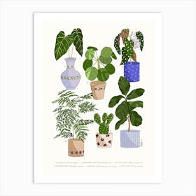 Houseplants 1 Art Print