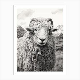 Black & White Illustration Of Highland Sheep Art Print