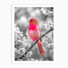 Pink Bird (4) Art Print