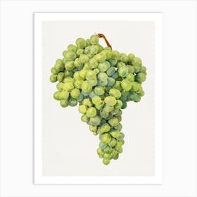 Green Grapes Art Print