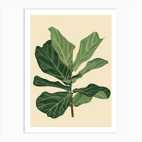Fiddle Leaf Fig Plant Minimalist Illustration 8 Art Print