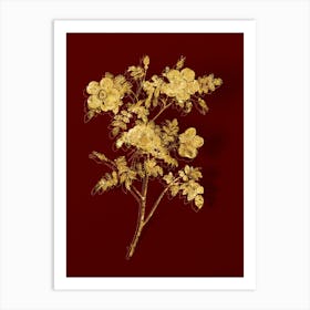 Vintage White Candolle's Rose Botanical in Gold on Red n.0005 Art Print