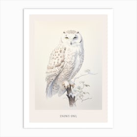 Vintage Bird Drawing Snowy Owl 2 Poster Art Print