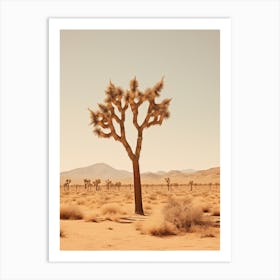  Photograph Of A Joshua Tree In A Sandy Desert 2 Art Print