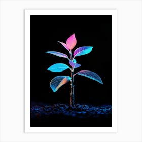 Plant In The Dark 10 Art Print