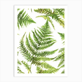 Pattern Poster Boston Fern 4 Art Print