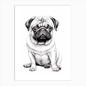 Pug Dog, Line Drawing 1 Art Print