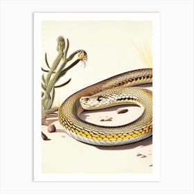 Sonoran Gopher Snake Vintage Art Print