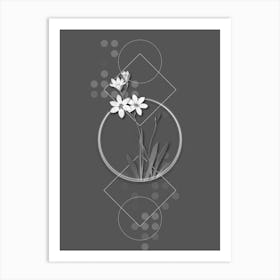 Vintage Ixia Grandiflora Botanical with Line Motif and Dot Pattern in Ghost Gray n.0366 Art Print