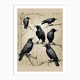 Crows On A Branch 2 Art Print