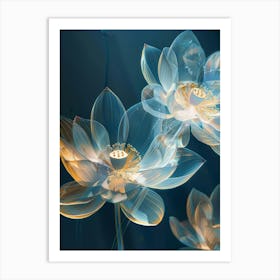 Lotus Flower 13 Art Print